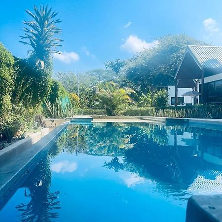 Villas Cabuya Beach & Jungle מראה חיצוני תמונה