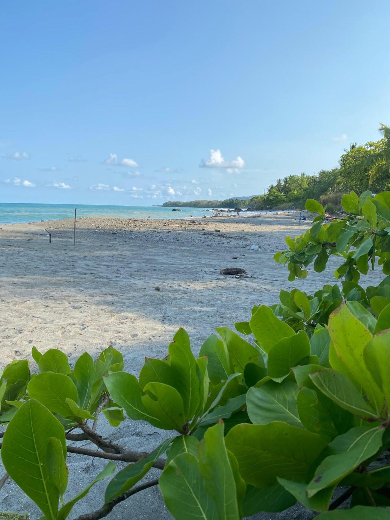 Villas Cabuya Beach & Jungle מראה חיצוני תמונה
