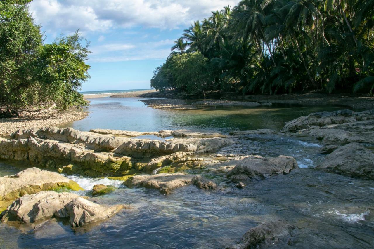Villas Cabuya Beach & Jungle מראה חיצוני תמונה